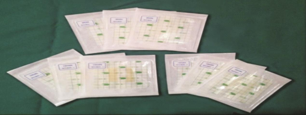 颠覆性新兴产业与产品—— 高端现代敷料产品产业化 